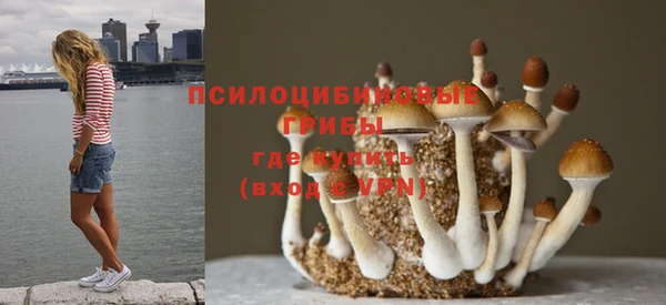 ПСИЛОЦИБИНОВЫЕ ГРИБЫ Снежногорск
